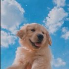 Mariola Policka - awatar