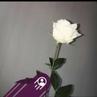 Marghi Szubert - awatar