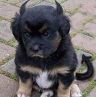 Marzena Rogalska - awatar