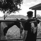 Wiktor Rajski - awatar