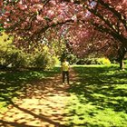 Hadrian Cloud - awatar