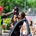 Julia Kwiatek - awatar