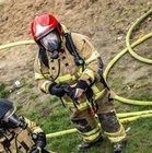 Sylwia Widomska - awatar