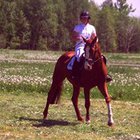 Weronika Dolewska - awatar
