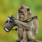 Kinga Baran - awatar