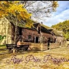 FUNDACJA AZYL PSIA PRZYSTAŃ - awatar