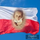 Krzysztof Górski - awatar