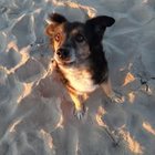 Eliza Antonina - awatar