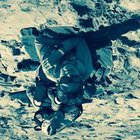 Oskar Kiwacki - awatar