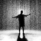 Janusz Ozdowski - awatar