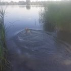 Karolina Kucharska - awatar