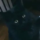 Emil Woźniak - awatar