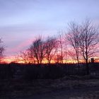 Sebastian Sebastian - awatar