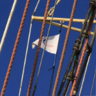 ONKOREJS - WYBIERAM ŻYCIE - awatar