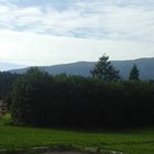 Daniel Mazinski - awatar