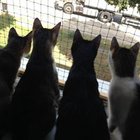 Barbara Zalewska - awatar