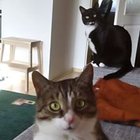 Kamila Jaroń - awatar