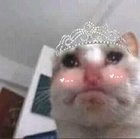 Daria Flisikowska - awatar