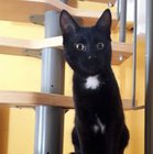 Bożena Kier - awatar