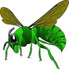 Szerszen Bus - awatar