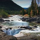 Jerzy Bienert - awatar