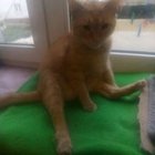 Agnieszka Siuzdak - awatar