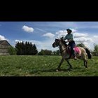 Dagmara Topór - awatar