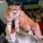 Katarzyna Kasia - awatar