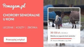 Choroby senioralne u koni – pełny kosztorys diagnozy i leczenia – kosztorys 2026