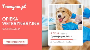 Posiadanie zwierzęcia to wielka radość, ale i duża         odpowiedzialność, która wystawiana jest na próbę zwłaszcza wtedy, gdy nasz pupil zaczyna chorować. Ponieważ koszty ratowania zdrowia czworonoga potrafią zaskoczyć, przygotowaliśmy zestawienie przybliżonych cen badań i usług weterynaryjnych. Sprawdź, na jakie wydatki warto się przygotować i co realnie wpływa na ostateczny rachunek w gabinecie weterynaryjnym.