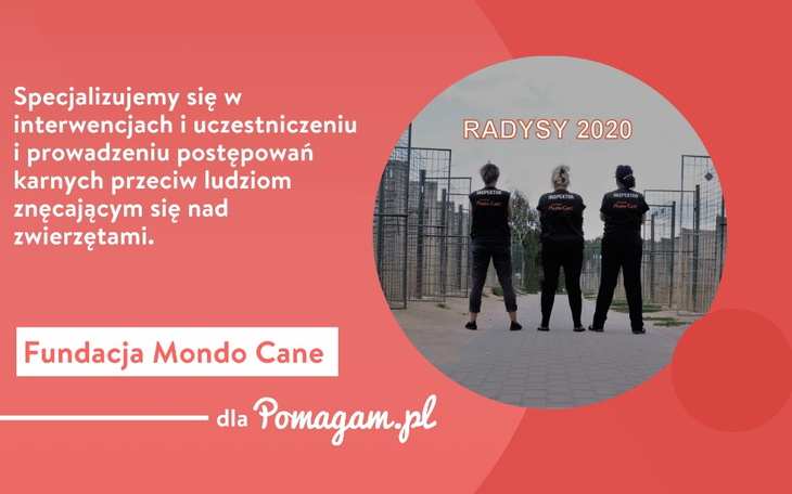 O swojej działalności opowiedziała nam Fundacja Mando Cane