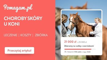 Sarkoidy, czerniak, gruda u konia – ile kosztuje diagnoza i leczenie? – kosztorys 2026