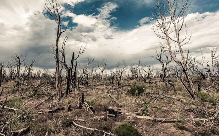 Klęski żywiołowe w Polsce. Jak zbierać pieniądze na pomoc poszkodowanym podczas burzy, pożaru, suszy czy powodzi?