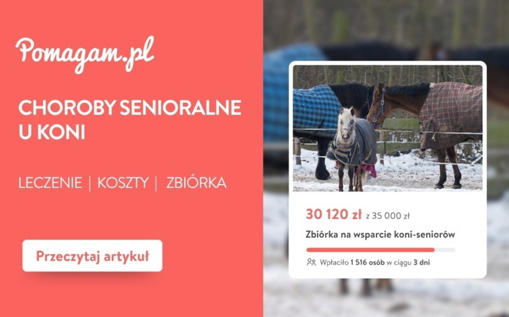 Choroby senioralne u koni – pełny kosztorys diagnozy i leczenia – kosztorys 2026