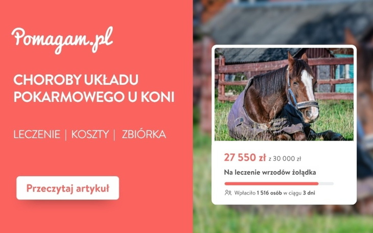 Choroby układu pokarmowego u koni – ile kosztuje diagnoza i leczenie? – kosztorys 2026