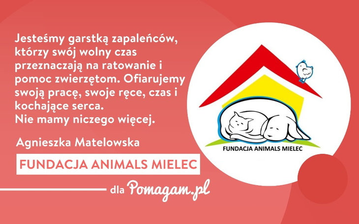 Wywiadu udzieliła nam współzałożycielka Fundacji Animals Mielec Agnieszka Matelowska