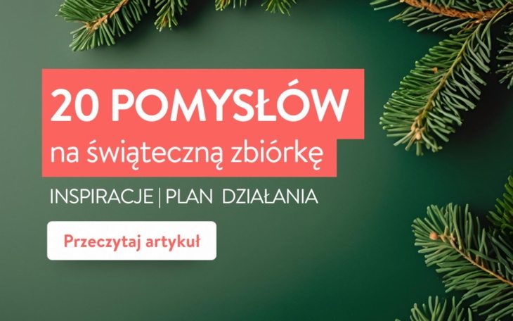 Wpis 20 pomysłów na świąteczną zbiórkę dla NGO – inspiracje i praktyczne wskazówki - miniaturka zdjęcia
