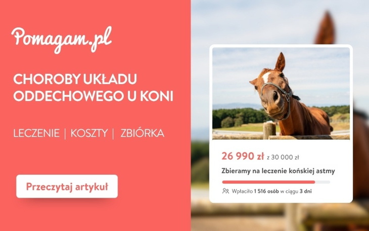 Choroby układu oddechowego u koni – ile kosztuje diagnoza i leczenie? – kosztorys 2026