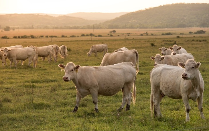 Wpis Dzięki zbiórce na Pomagam.pl zebrano niemal 13 000 zł na produkcję filmu dokumentalnego! - miniaturka zdjęcia