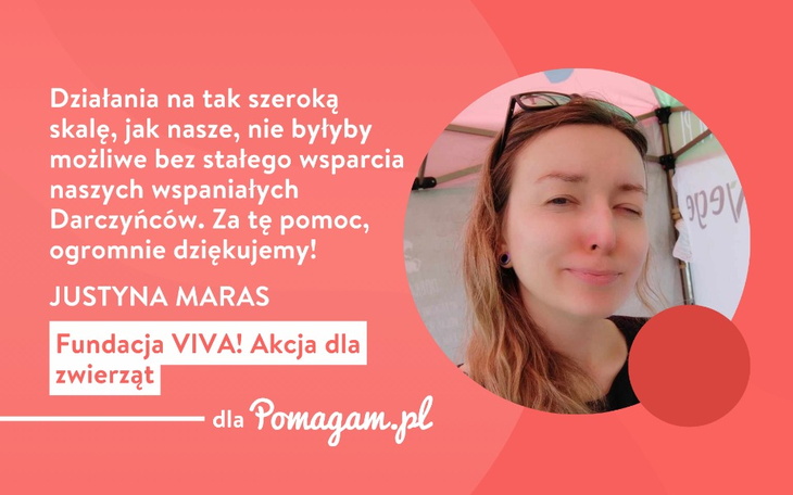 Misją Fundacji Viva! jest ratunek dla zwierząt porzuconych, skrzywdzonych, bezdomnych i chorych. Realizuje tę misję nie tylko poprzez działania bezpośrednie, które są oczywiście najbardziej widowiskowe i najchętniej wspierane, ale także poprzez żmudną, codzienną pracę.