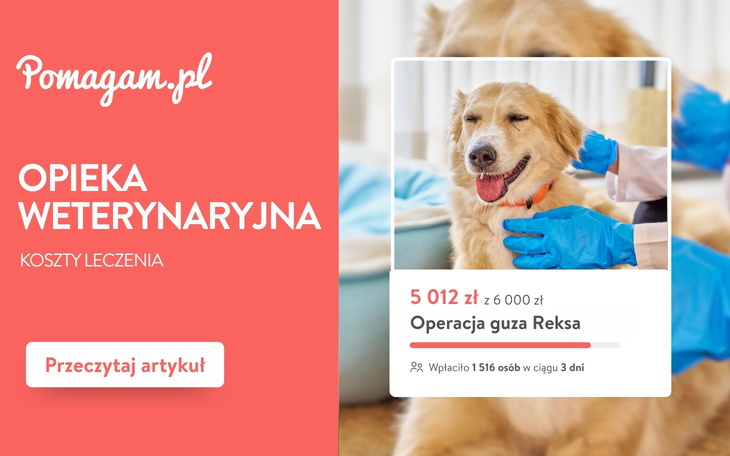 Posiadanie zwierzęcia to wielka radość, ale i duża         odpowiedzialność, która wystawiana jest na próbę zwłaszcza wtedy, gdy nasz pupil zaczyna chorować. Ponieważ koszty ratowania zdrowia czworonoga potrafią zaskoczyć, przygotowaliśmy zestawienie przybliżonych cen badań i usług weterynaryjnych. Sprawdź, na jakie wydatki warto się przygotować i co realnie wpływa na ostateczny rachunek w gabinecie weterynaryjnym.