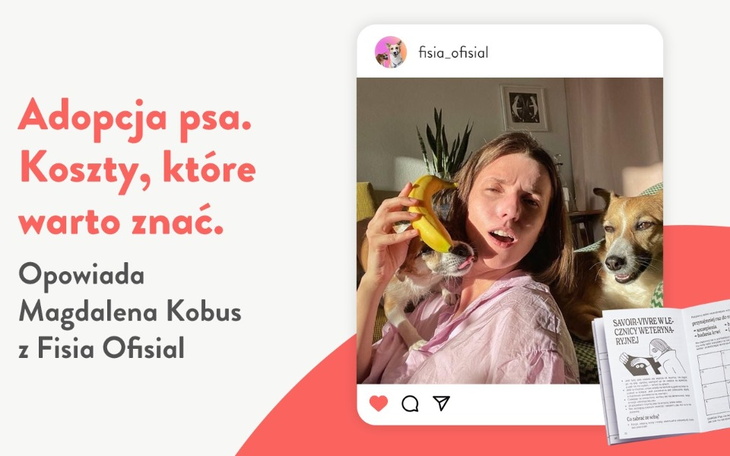 Wpis Adopcja psa – koszty, które warto znać - miniaturka zdjęcia