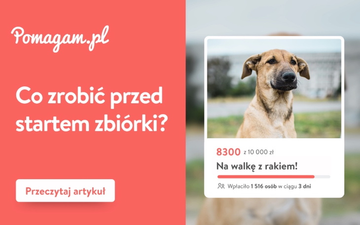 Co zrobić przed uruchomieniem zbiórki? Jakie działania podjąć przed startem akcji? Mamy dla Ciebie kilka przydatnych porad, które warto uwzględnić, planując zbiórkę.