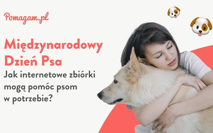 Wpis Międzynarodowy Dzień Psa: jak internetowe zbiórki mogą pomóc psom w potrzebie? - miniaturka zdjęcia