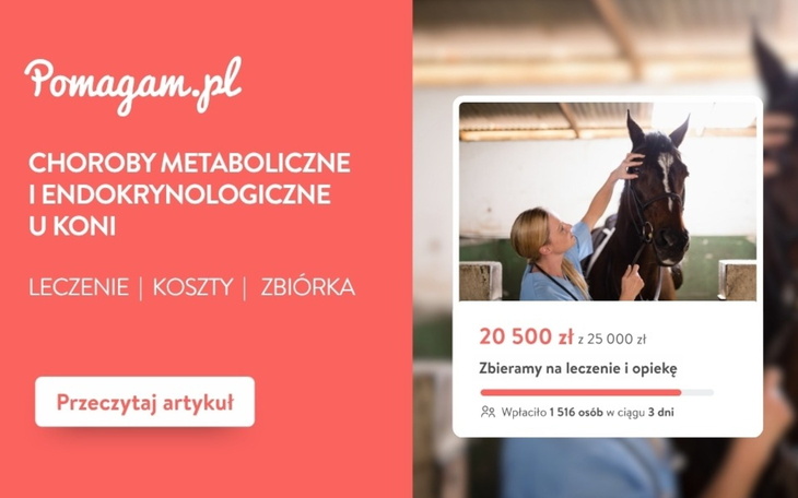 Choroby metaboliczne i endokrynologiczne u koni – koszty diagnozy i leczenia – kosztorys 2026