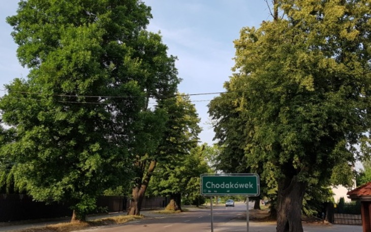 Wpis Pasjonaci przyrody zebrali 100% potrzebnych środków, aby uratować zabytkową lipową aleję!! - miniaturka zdjęcia