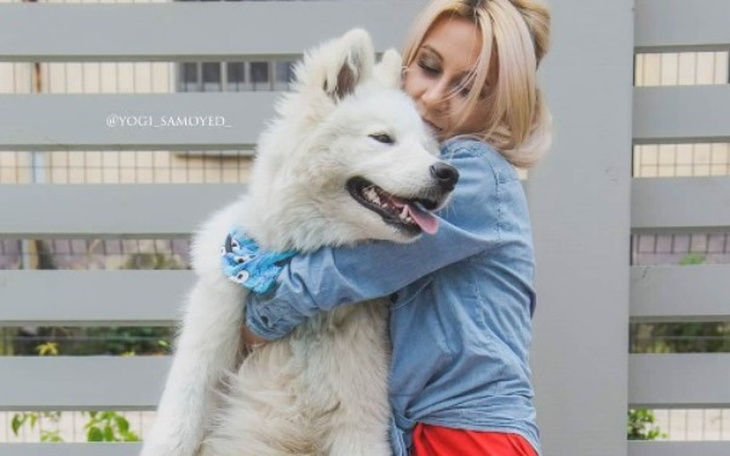 Wpis Joanna walczy o życie swojego ukochanego psa!! Na Pomagam.pl zebrała już ponad 11 000 zł!! - miniaturka zdjęcia