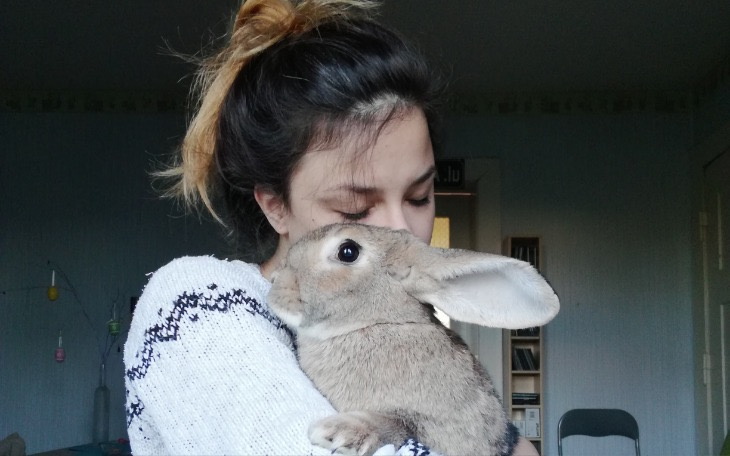 Wpis Dobro wraca!! Zebrali 3400 zł w 9 dni na leczenie ukochanego królika! - miniaturka zdjęcia