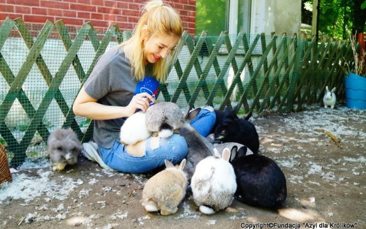 Wpis Czy tym razem królicza łapka przyniesie szczęście na Pomagam.pl?? - miniaturka zdjęcia