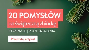 Wpis 20 pomysłów na świąteczną zbiórkę dla NGO – inspiracje i praktyczne wskazówki - miniaturka zdjęcia